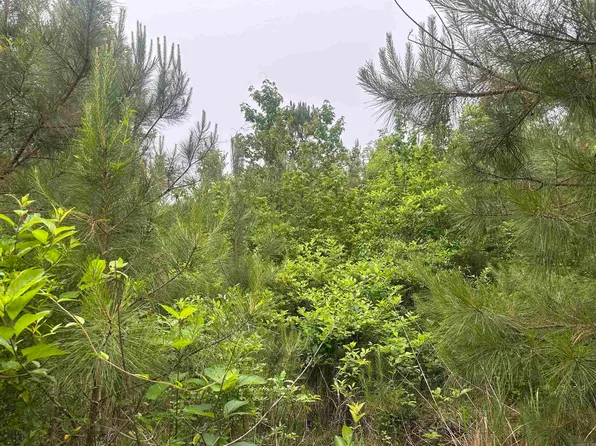 13-15-18 Ouachita Cres #152, Louann, AR 71751