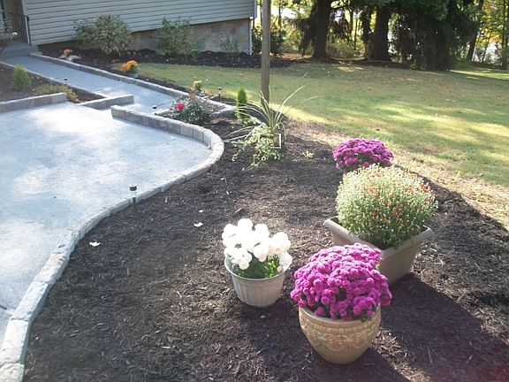 Landscape and walkway