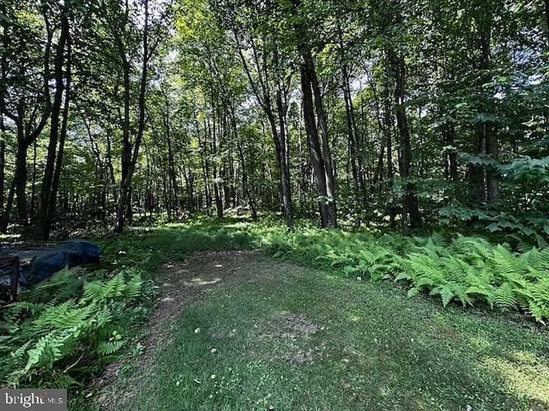 Thumbnail 13