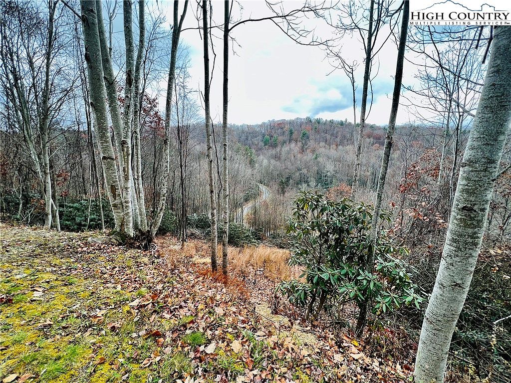 Lot 99 Beaver Dam Road, Elk Park, NC 28622 MLS 243802 Zillow