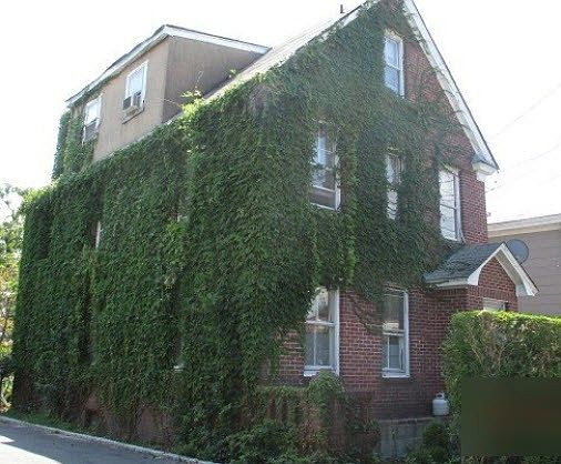 5th image of 26 Avenue A