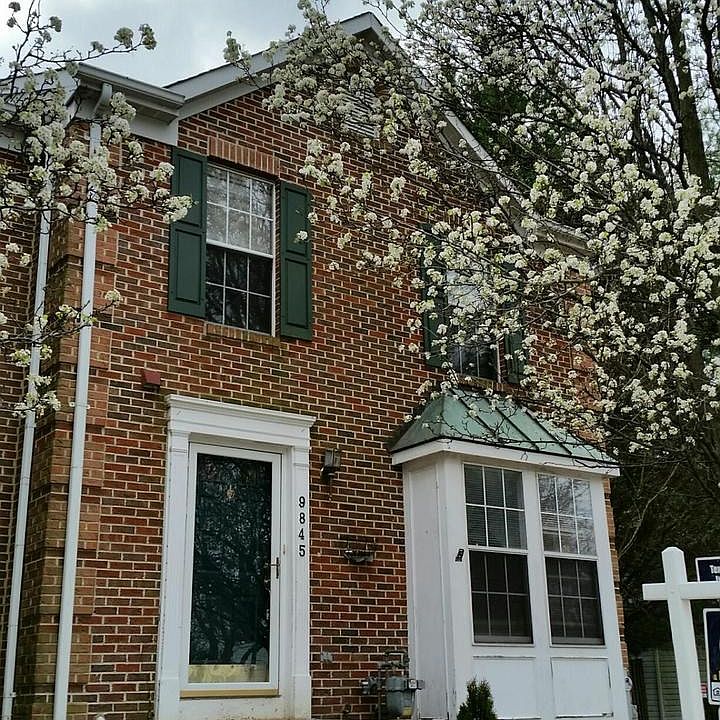 Blooming trees & flowers in the garden