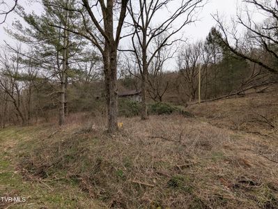 1674 Shavers Ford Rd, Jonesville, VA, 24263