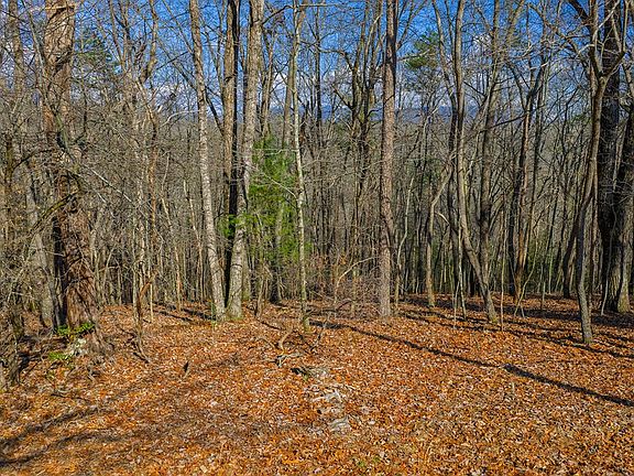 3rd image of 55 Timberwalk