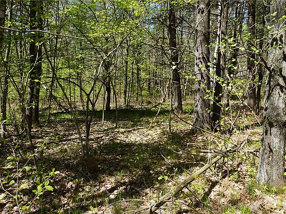 3rd image of 0 Poertner Road