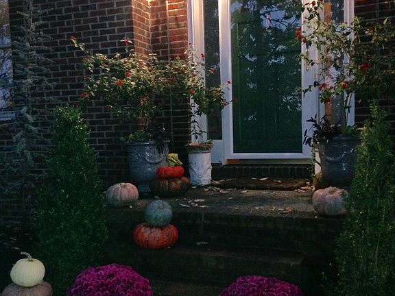 AUTUMN 2015