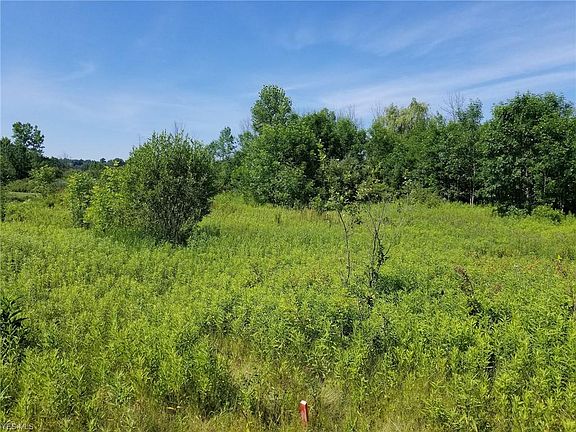 4th image of 16770 Auburn Springs Dr