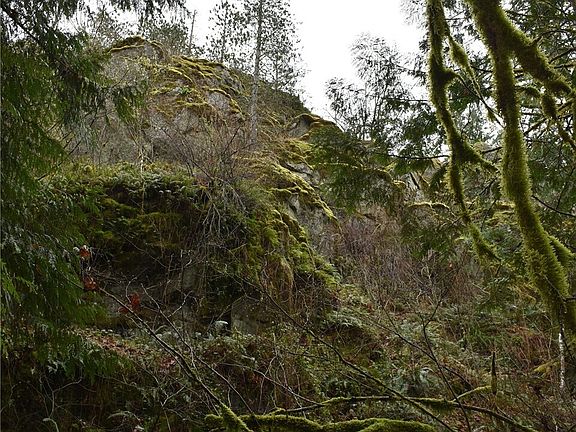 5th image of 15327 May Creek Road