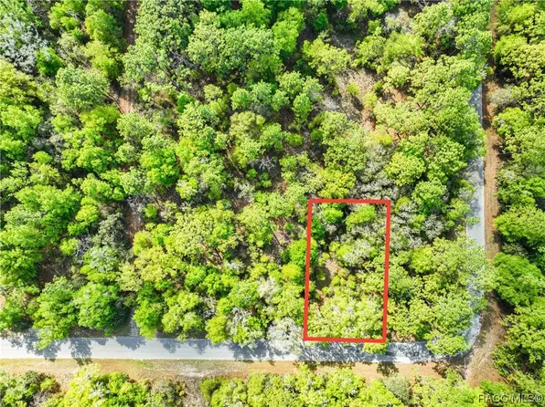 10244 N Sun City Ter, Dunnellon, FL 34433