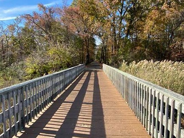 Cambridge Bike Trails