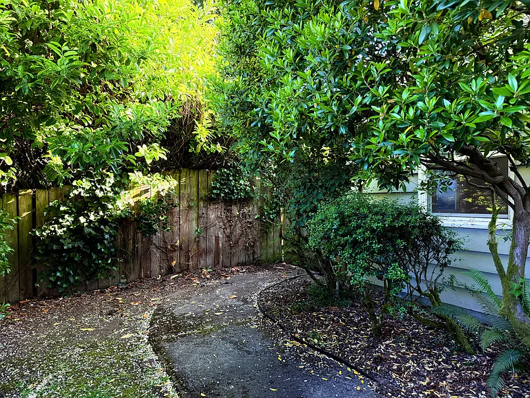 Private yard
