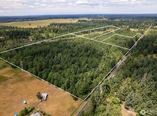 328 XX 16th Avenue S, Roy, WA 98580