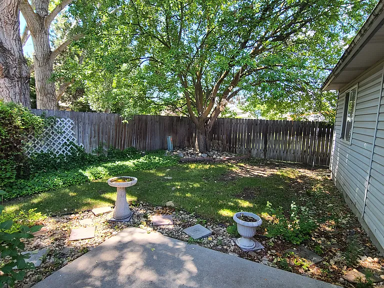 Shady backyard