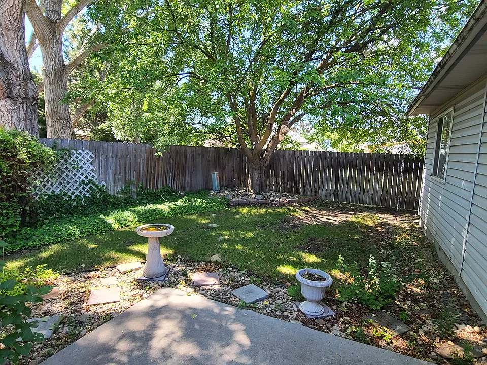 Shady backyard