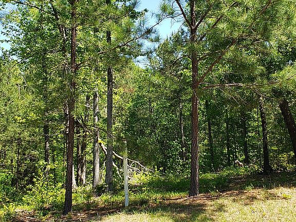 3rd image of 0 Savannah Bay Dr Lot 19