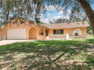 13213 Arkendale St, Spring Hill, FL 34609