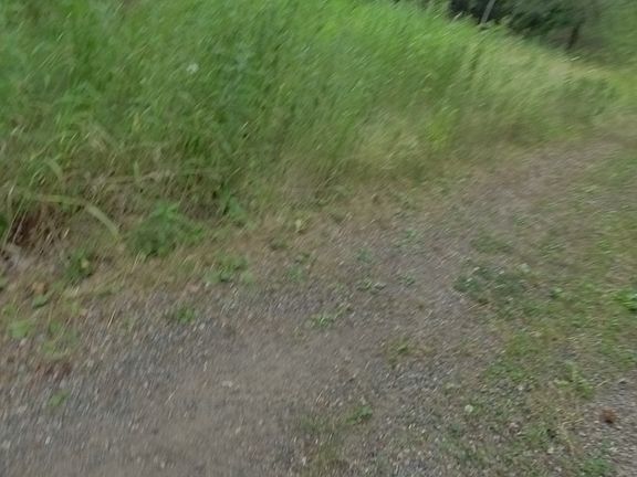 5th image of Xxx Agram Blvd