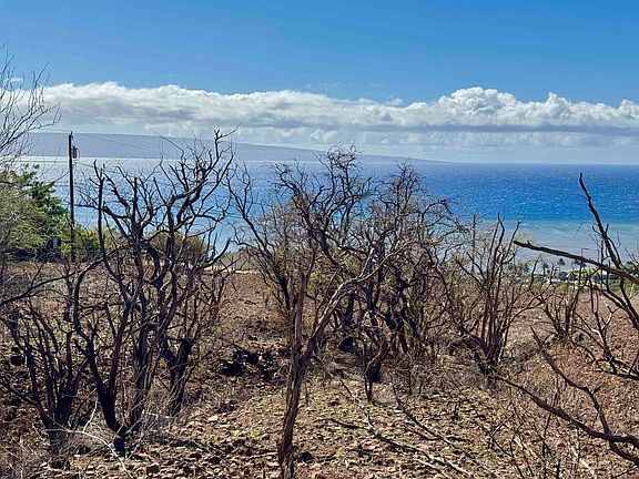 5th image of Uluanui Rd #126