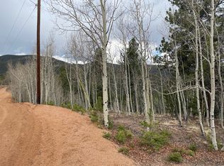 648 Horseshoe Dr, Divide, CO 80814