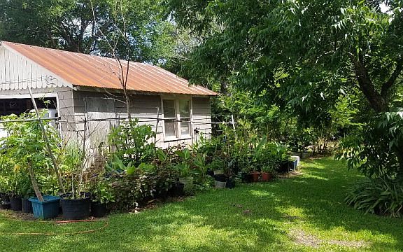 5th image of 1044 Duff Dr