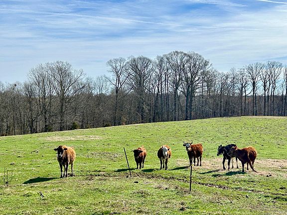 4th image of 3175 Ard Ridge Rd