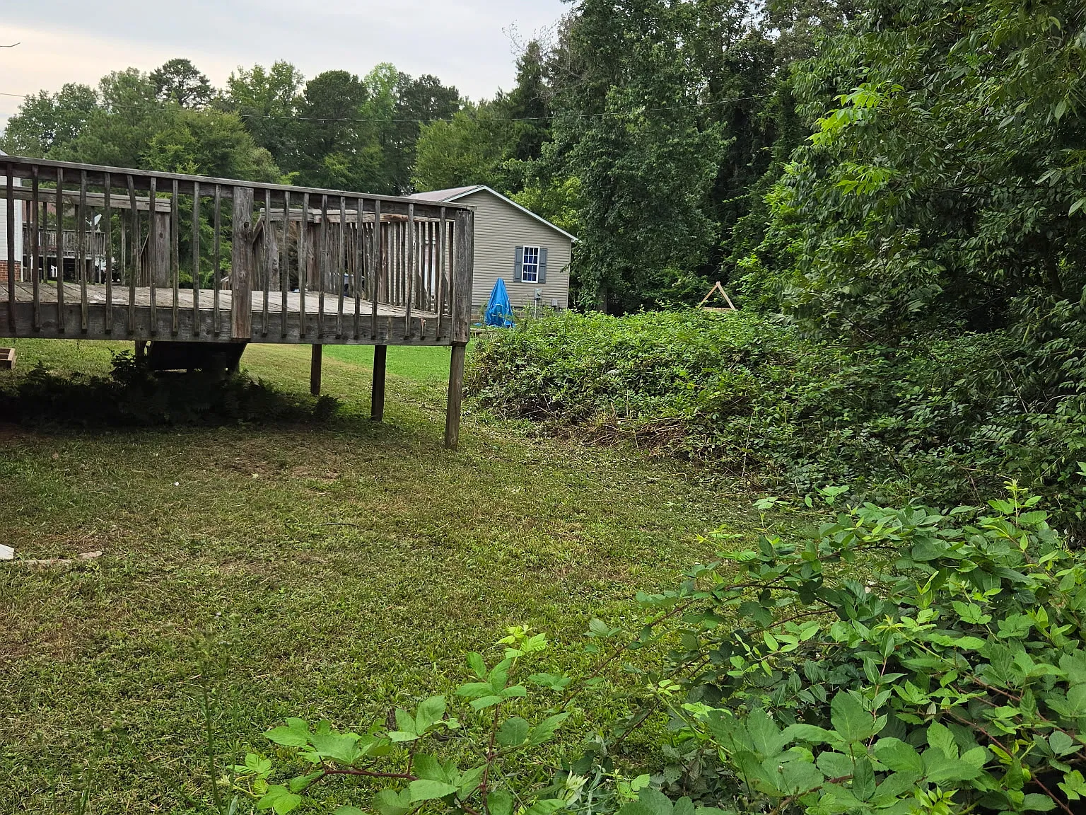 3 bed, 1250 sqft, $1,800 — Photo 3