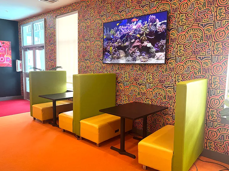 The Oasis — Photo 11