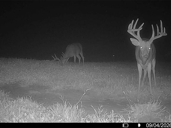 3rd image of 60936 Patch Rd