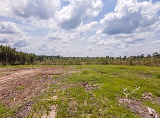 R53358 Tract Hwy #2-94, Apple Springs, TX 75926