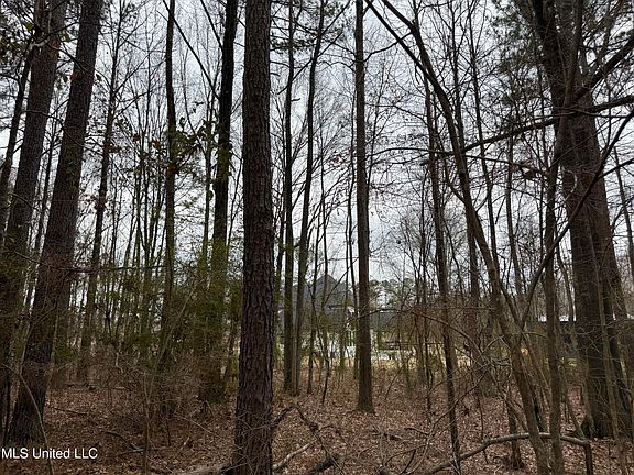 3rd image of Mount Elam Church Rd