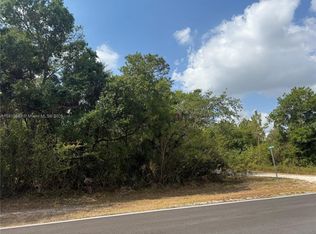 124 Hunting Club Ave, Clewiston, FL 33440