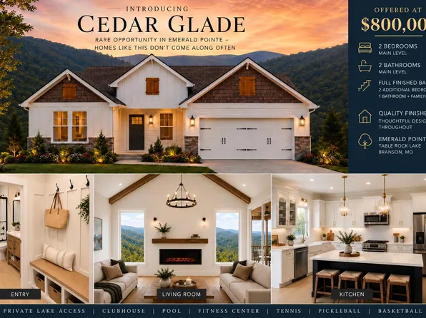 219 Bay View Drive, Hollister, MO 65672