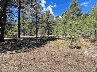 39 W Nebo Ct, Pagosa Springs, CO 81147