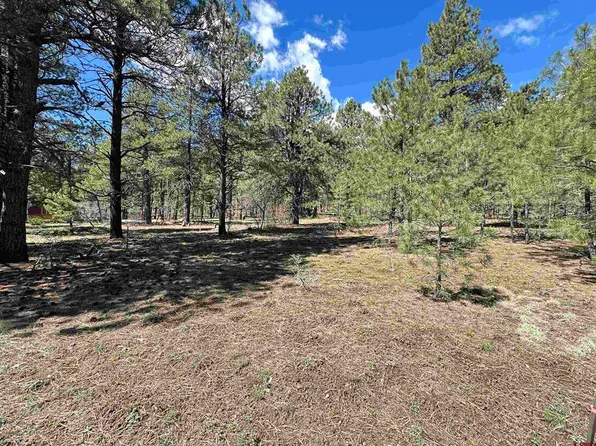 39 W Nebo Court, Pagosa Springs, CO 81147