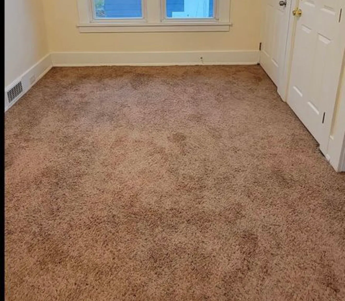 2 bed, 816 sqft, $1,500 — Photo 4