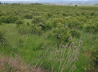 Tbd Golden Hills Rancsubdivision, Grangeville, ID 83530