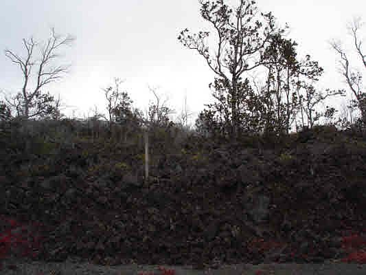 2nd image of Bamboo Ln Lot 11