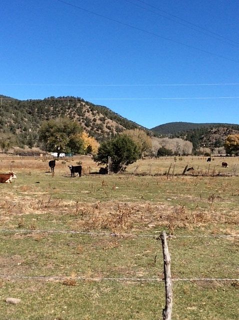 1st image of 2664b Hwy 12 #Hwy 12