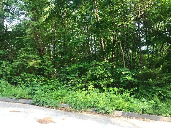 3rd image of 6915 Barter Dr