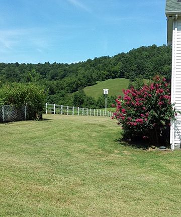 Houseyard
