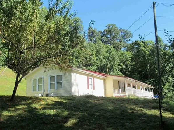 1010 Walker Hollow Rd, Nellis, WV 25142