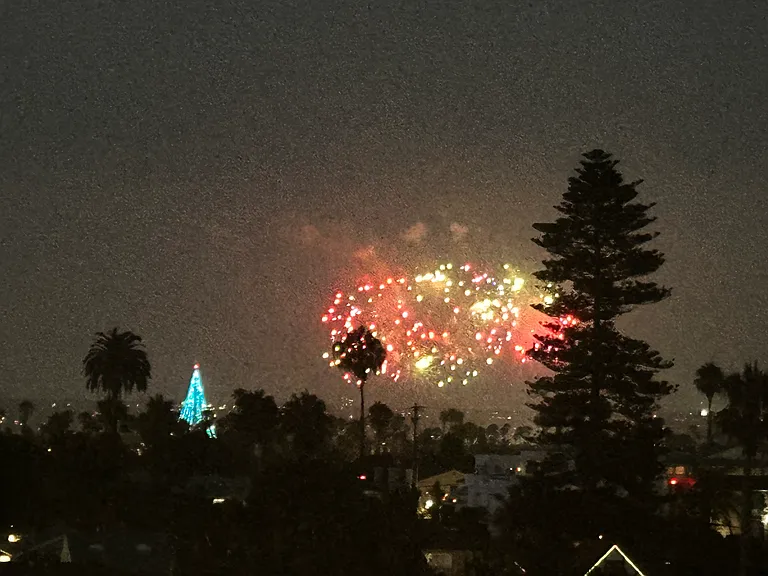 So fun watching the Seaworld fireworks from the condo!