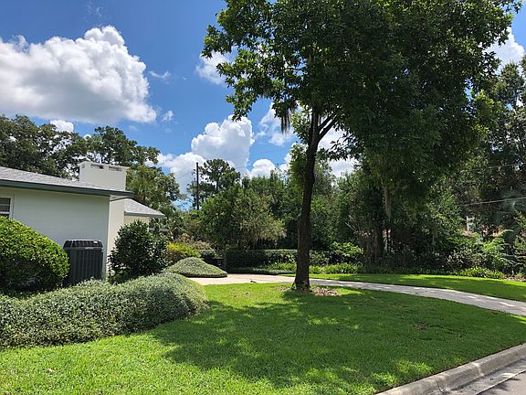 Side Yard & Driveway