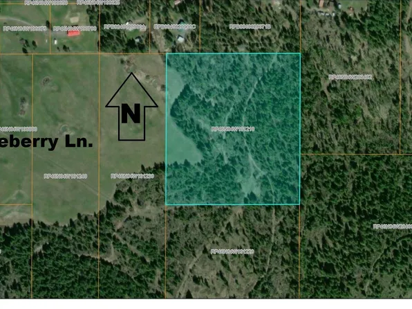 TRACT 5 Thimbleberry Ln, Plummer, ID 83851