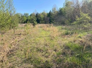 20 Red Ln, Calico Rock, AR 72519