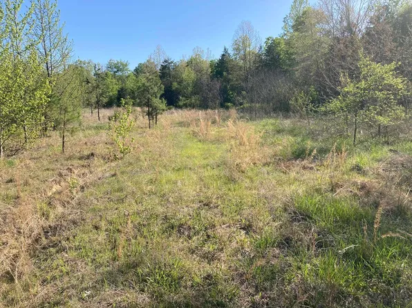20 Red Ln, Calico Rock, AR 72519