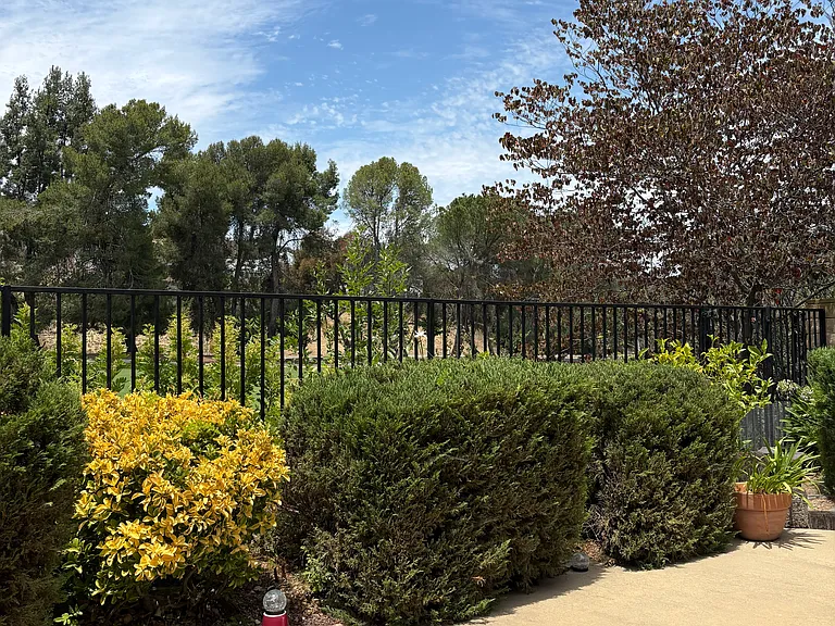 4292 Silverado Dr — Photo 34