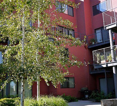 The building has a shared firepit and gas barbecue.