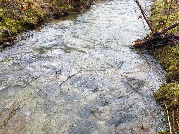 1644 Tipple Rd, Tracy City, TN 37387