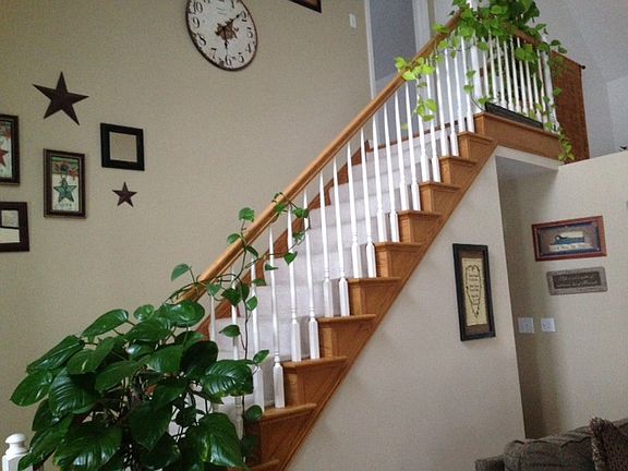 stairs to the bonus room